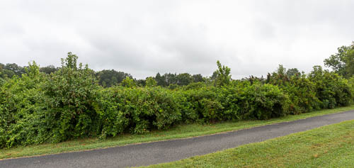 Nokesville Thumbnail