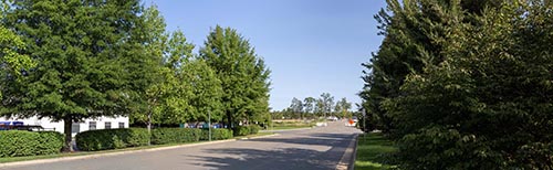 Hornbaker and Devlin Area Viewpoint 115 Thumbnail