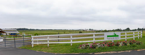 Nokesville Thumbnail