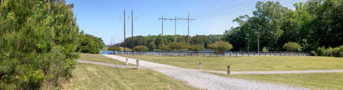 Viewpoint 5