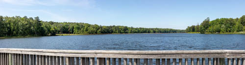 Viewpoint 4
